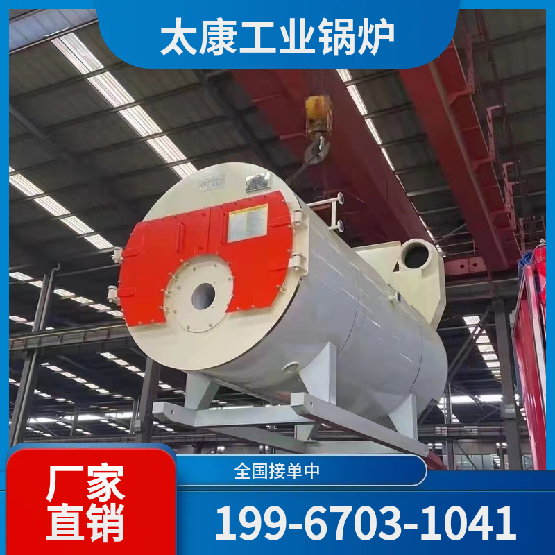 胡杨生物质蒸汽锅炉